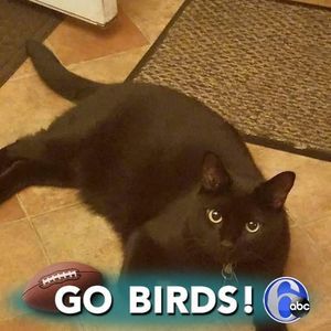 Meet your Posher, Gail